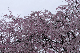 image0188