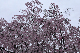 image0189