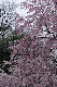 image0190