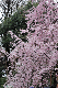 image0191