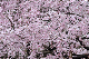 image0192