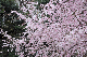 image0193