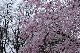 image0194