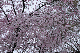 image0195