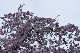 image0196