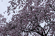image0197