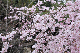 image0199
