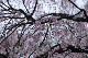 image0200