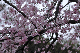 image0201