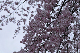 image0202
