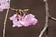 image0203