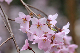 image0204