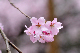 image0206