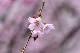 image0209