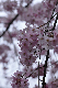 image0211