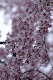 image0213