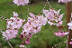 image0215