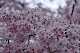 image0217