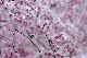 image0218