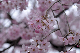 image0219