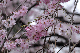 image0222