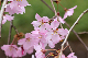image0223