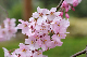 image0224