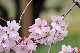 image0225