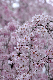image0227