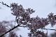 image0228
