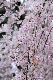 image0230