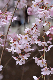 image0231