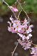 image0232
