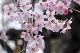 image0233