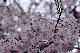image0234