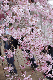 image0235