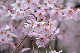 image0236