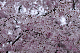image0240