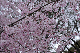 image0241