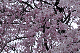 image0242