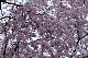 image0243