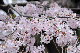 image0246