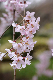 image0248
