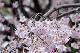 image0251