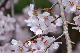 image0253