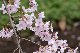 image0254