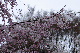 image0255