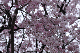 image0257