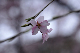 image0262