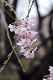 image0263